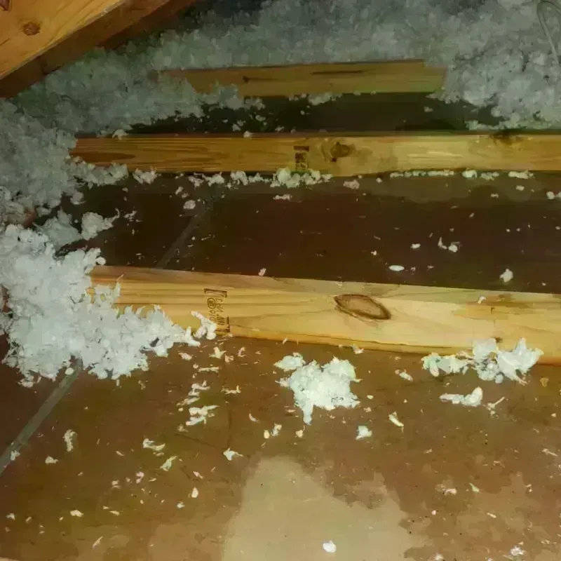 Attic Water Damage in Emmaus, PA